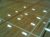 IMG00042-20100806-1020.jpg