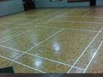 Badminton or pickle ball court at ladner delta rec centre