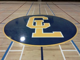 Professional gymnasium floor basket ball court logo